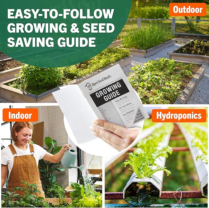 Open Seed Vault 15,000 Non GMO Heirloom Vegetable Seeds for Planting Vegetables and Fruits - 32 Variety Pack of Vegetable Seeds for Gardening, Survival Gear, Seed Vault Emergency Supplies Kit