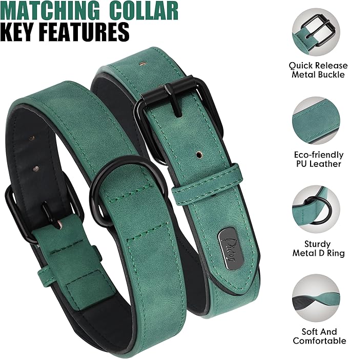 Didog Soft Padded Leather Dog Collar and Leash Set, Adjustable and Breathable Pet Collars with 4FT PU Leather Dog Leash for Small Medium Large Dogs, Green, XL