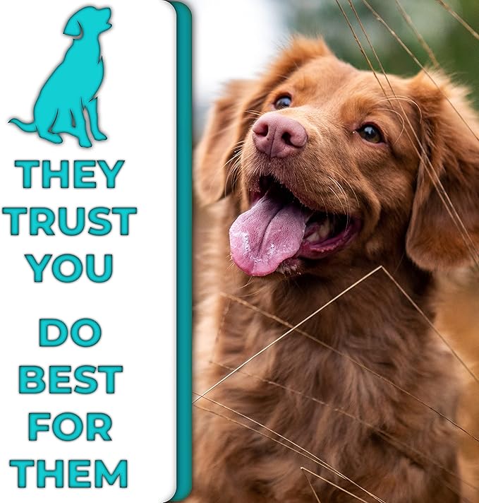 H&H Pets Bamboo Toothbrush Set for Dogs and Cats - Ultra Soft Bristles & Biodegradable Wooden Toothbrush, Puppy Supplies, Dog Dental Set, Eco-Friendly Pet Supplies (Large; 3-Count Pack)