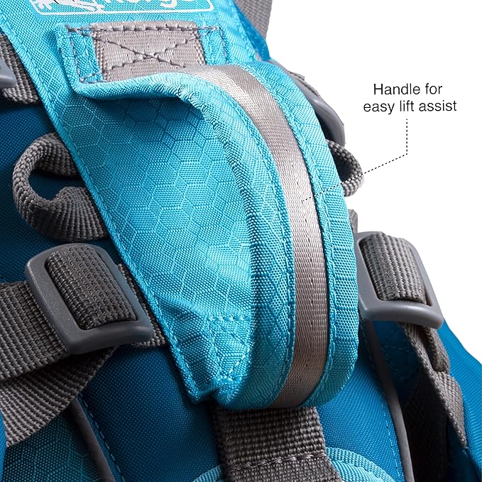 Kurgo Big Baxter Dog Backpack, Dog Saddlebag Pack for Pets, Adjustable Saddlebag for Hiking, Walking, Running, Camping, Coastal Blue