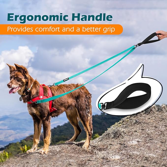 PetBonus Two Point Control Dog Leash, Works with No Pull Harnesses, No Tangle Dog Training Leashes, No Pull Padded and Reflective Walking Lead,Converts to Single Leash for Medium Large Dogs(Turquoise)
