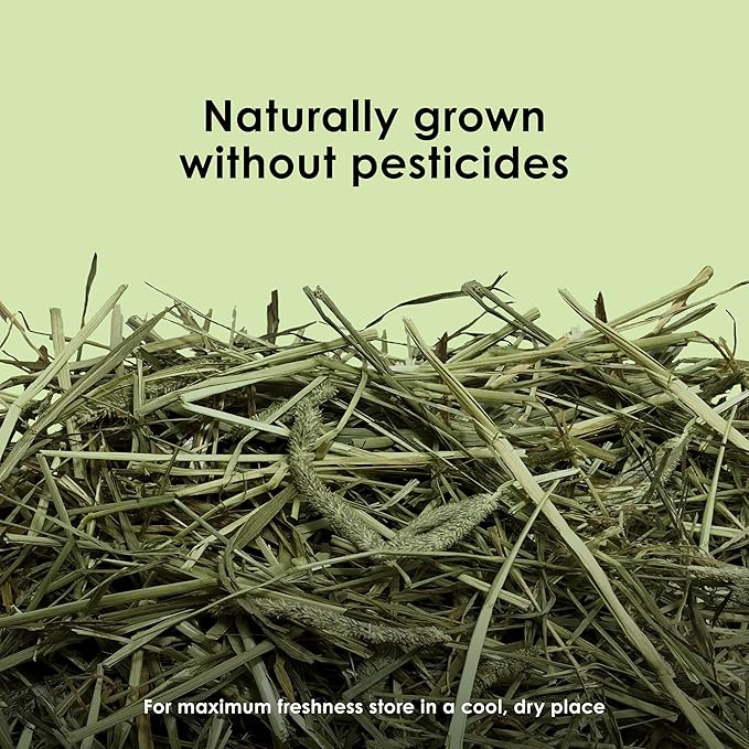 Kaytee Timothy Hay, High Fiber, Grown Specifically for Small Animals, Rabbits, Guinea Pigs, Chinchillas, Ideal Bulk Order for Small Pets, 24 pounds