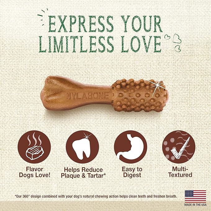 Nylabone Nutri Dent Dog Dental Chews - Natural Dog Teeth Cleaning & Breath Freshener - Dental Treats for Dogs - Filet Mignon Flavor, Mini (32 Count)