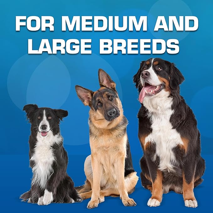 Nerf Dog Classic Squeak Ball Outdoor Dog Toys, 3.8 Inch Dog Ball Fetch Toy, Squeaking Toy for Medium and Large Breeds, Green/Red, 2 Count