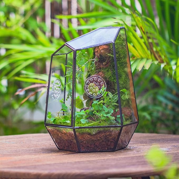 NCYP Closed Geometric Glass Enclosure with Front Opening Door & 2 Vent Holes for Insects, Succulent, Cacti - 7.9"x6.9"x9.8" Black Irregular Terrarium Planter - Home Garden Tabletop Decor (No Plants)