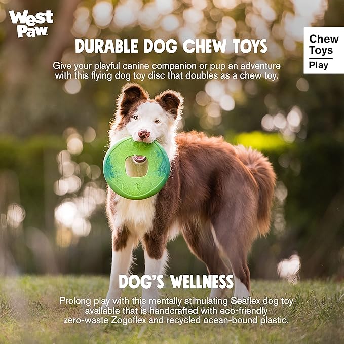 WEST PAW Seaflex Sailz Dog Toy Flying Disc – Machine Washable Dog Toys for Moderate Chewers – Eco-Friendly Zogoflex Toys for Dogs – Perfect for Gnawing, Fetch, Catch, Pet Training – Emerald
