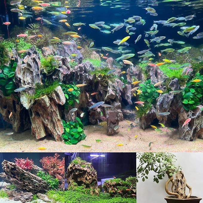 Unocho Aquarium Rocks Natural Dragon Stone seiryu Rocks 20LB Fish Tank Rocks for Aquariums Landscaping Model Tank Decoration-2-8 inches