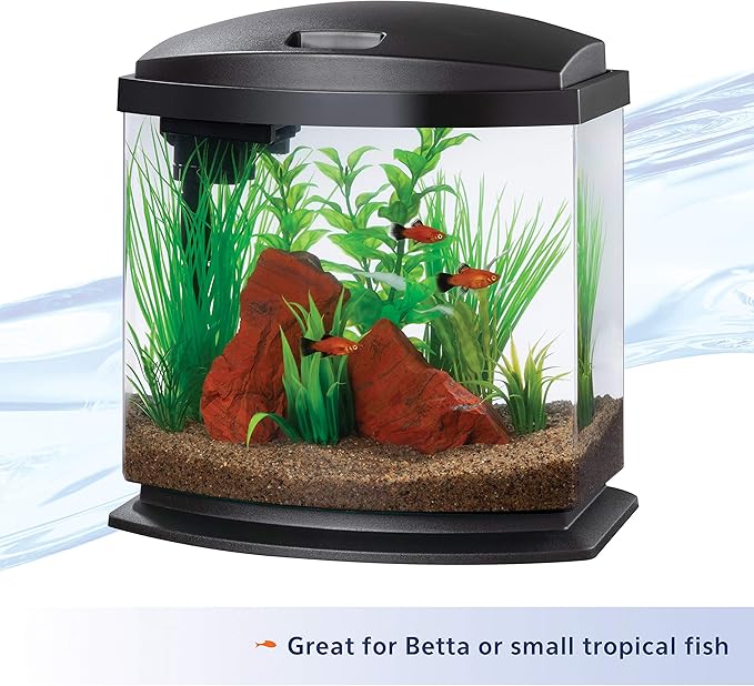 Aqueon LED MiniBow Small Aquarium Fish Tank Kit with SmartClean Technology, Black, 2.5 Gallon