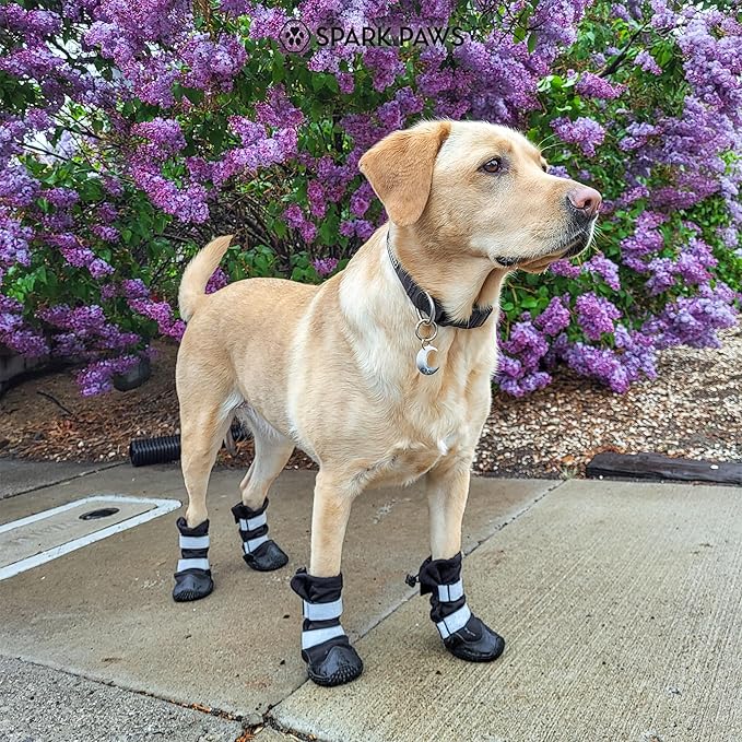 Spark Paws Dog Shoes, Waterproof Dog Boots for Medium to Large Dogs, Non Slip, Breathable Dog Booties and Paw Protectors - 4PCS Doggie Hiking Boots with Reflective Straps - Black - Size 2