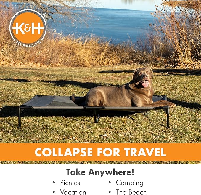 K&H Pet Products Outdoor Elevated Dog Cot, Breathable Cooling Elevated Cot Hammock Pet Bed for XL Dogs, Washable Mesh Cover, Raised Metal Frame, Collapsible, Portable - Jumbo 56 X 38in Charcoal