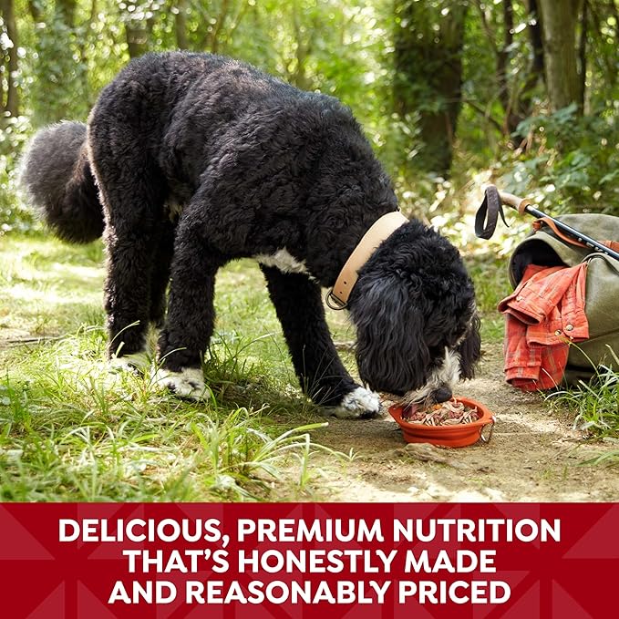 Nature's Recipe Grain Free Chicken & Beef Recipe in Savory Broth Wet Dog Food, 2.75 oz. Cup, 12 Count