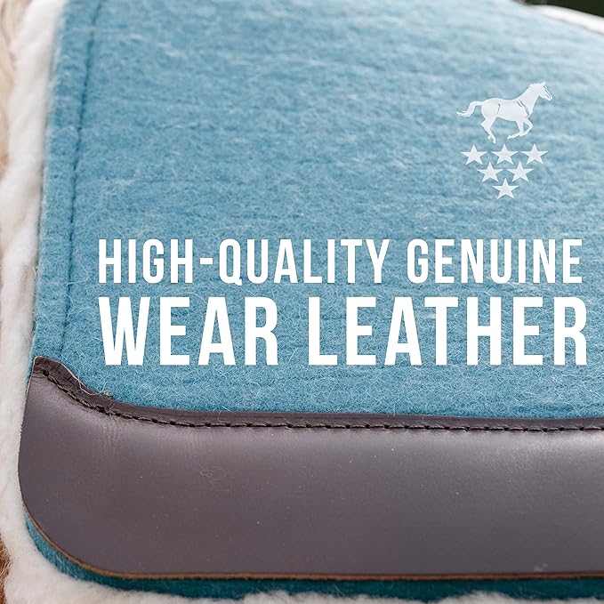 Professional's Choice 100% Steam-Pressed Wool Felt Saddle pad