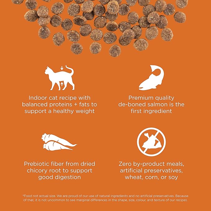 Go! Solutions Skin + Coat Care, Grain-Free Dry Cat Food, Salmon Recipe, 3 lb Bag