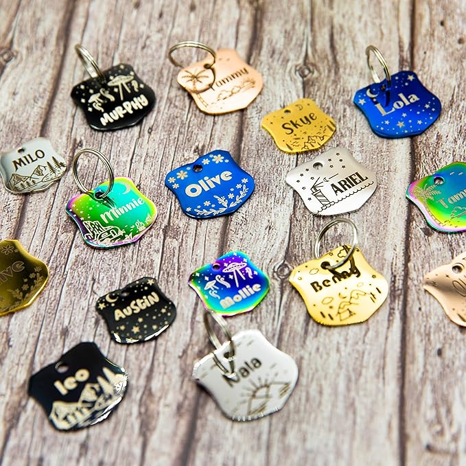 Personalized Dog Tag with 5 Lines of Custom Deep Engraved Durable Stainless Steel Pet ID Name Tag Designer Regular Size Badge