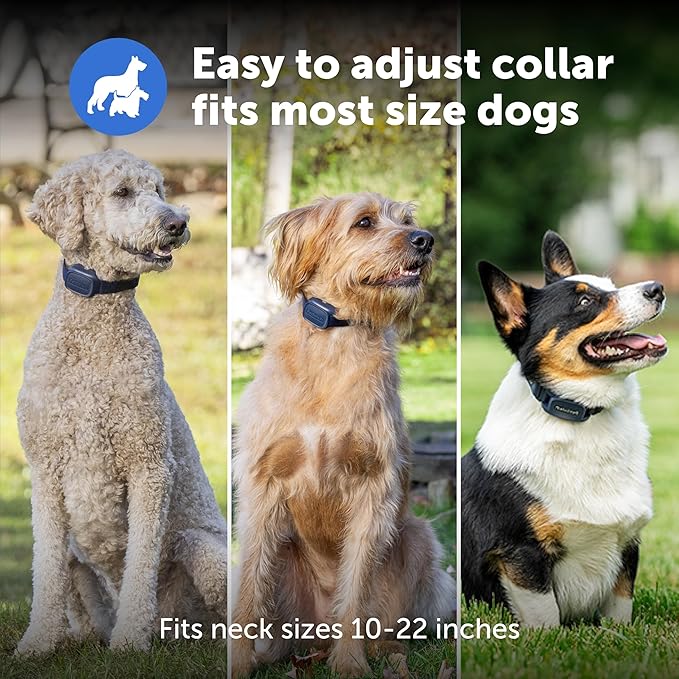 PetSafe Core Dog Trainer with Remote – Waterproof Training Collar – 1000 Foot Range – Tone, Vibration and 15 Levels of Static