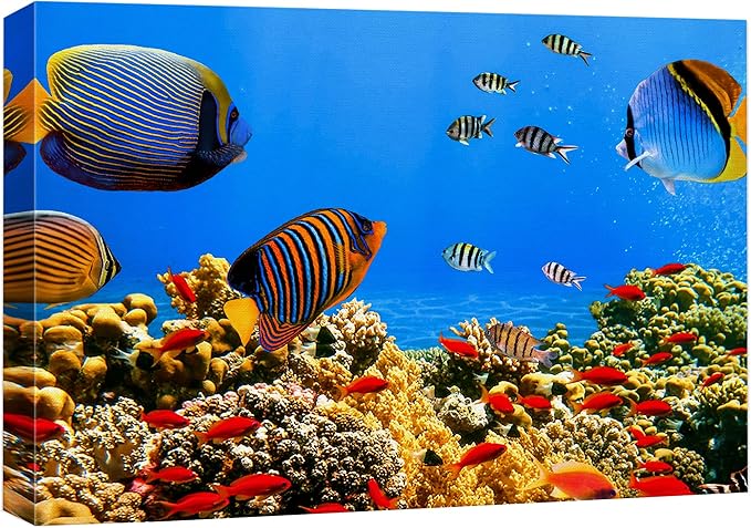 wall26 Canvas Print Wall Art Tropical Island Underwater Fish Red Anemone Nature Animals Photography Realism Rustic Scenic Landscape Wilderness Colorful for Living Room, Bedroom, Office - 32"x48"