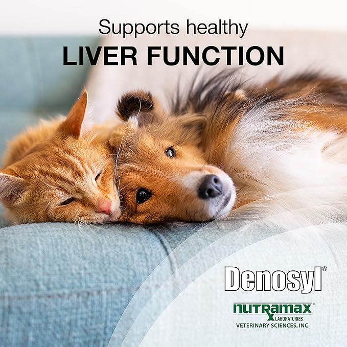 Nutramax Denosyl Liver and Brain Health Supplement for Small Dogs and Cats, With S-Adenosylmethionine (SAMe), 30 Tablets