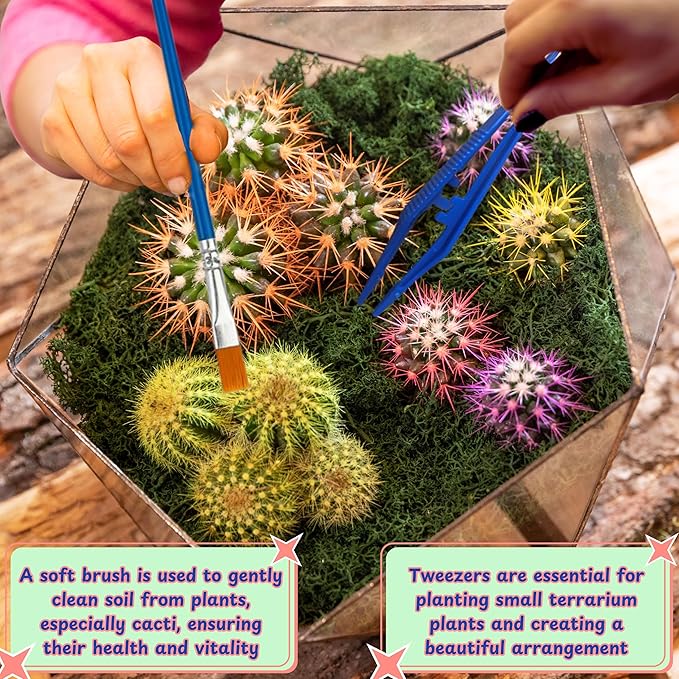 Jumping Spider Enclosure Starter Kit, Tarantula Enclosure Kit, Jumping Spider Accessories, Snail Terrarium Kit, Moss Growing Tool Set, Mini Plant Grow Tool, Reptile Tank Supplies for Habitat (Blue, S)