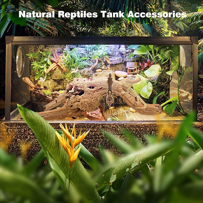 WDEFUN Natural Spiderwood for Aquarium Decor 2-Piece 11''-14'' Long Natural Driftwood Branches for Fish Tank Decorations