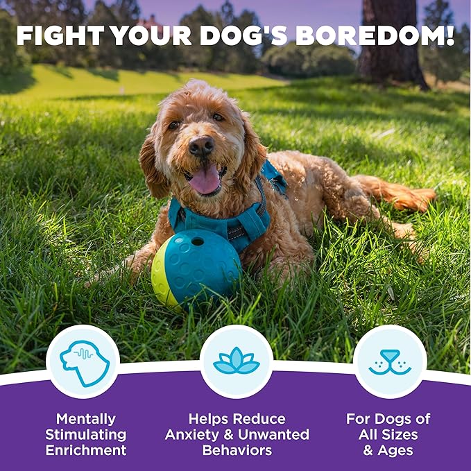 Outward Hound by Nina Ottosson Treat Tumble Interactive Puzzle Ball Dog Toy, Level 1 Beginner, Blue, Small (4.75" Diameter)