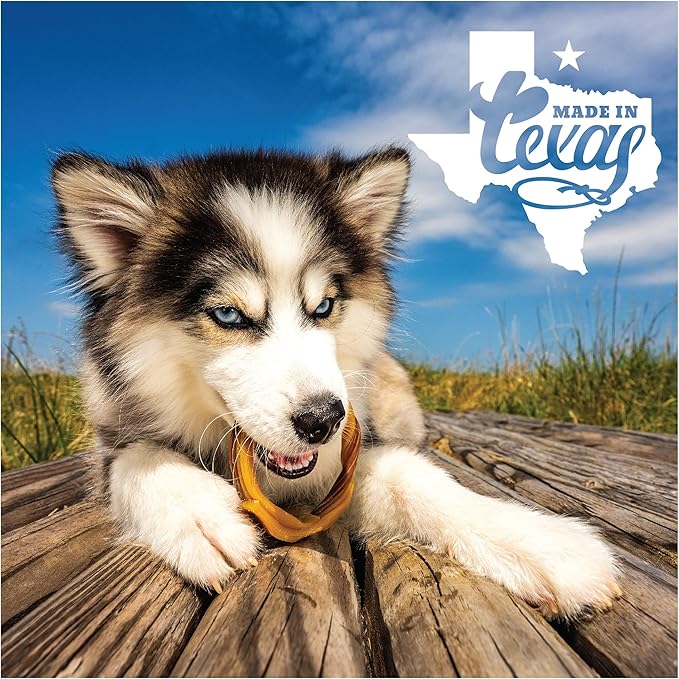 N-Bone Puppy Teething Rings Taste of Texas Pulled Pork Flavor 3 Count