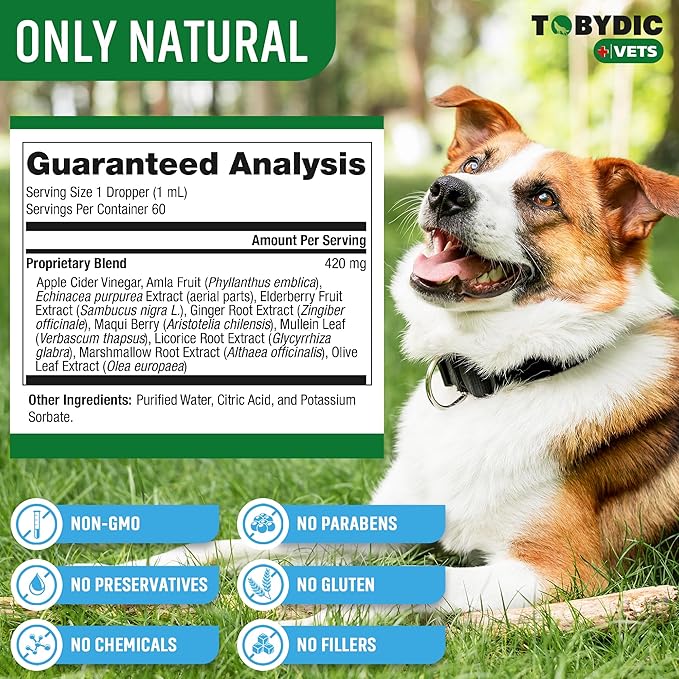 Dry & Wet Kennel Cough Natural Medicine & Relief for Dogs and Cats - Herbal Treatment Support Helps to Soothe Throat & Respiratory Trachea Comfort Supplement for Pets - Made in USA