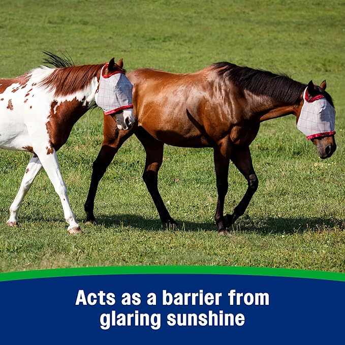 Farnam SuperMask II Fly Mask Without Ears for Larger Horses, Full Face Coverage and Eye Protection from Insect Pests, Structured Classic Styling Mesh with Plush Trim, XL Size