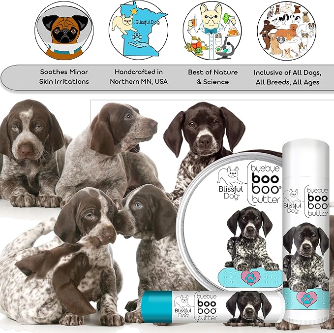 The Blissful Dog German Shorthaired Pointer Boo Boo Butter, 16 oz.