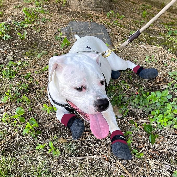 Double Dipped Thick Textured Waterproof Cotton Dog Socks | PawFlex Comfy Pawz Soft Indoor/Outdoor Pet Booties | Non-Slip Silicone Grip at Inner Wrist for No Twisting or Sliding Off| Adjustable Strap