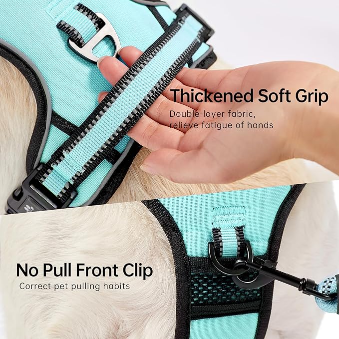 NESTROAD No Pull Dog Harness,Adjustable Oxford Dog Vest Harness with Leash,Reflective No-Choke Pet Harness with Easy Control Soft Handle for Large Dogs(Large,Turquoise)