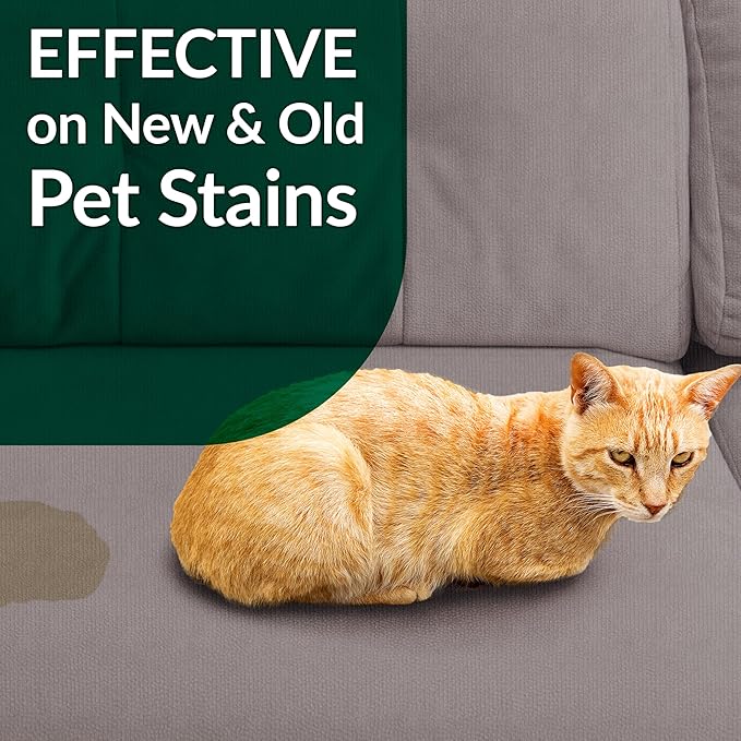 Simple Green Cat Stain & Odor Remover - Enzyme Cleaner for Cat Urine, Feces, Blood, Vomit (32 oz Sprayer & 1 gallon Refill)