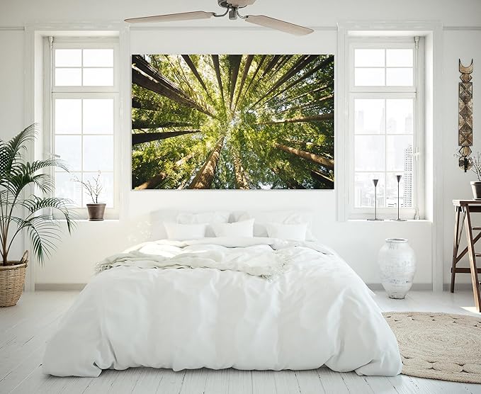Nature Wall Art Prints - Ocean Forest Mountain Lake Canvas Landscapes - Small to Extra Large Living Room Bedroom Kitchen Bathroom Décor (Serenity in the Forest, 16L" x 24W")