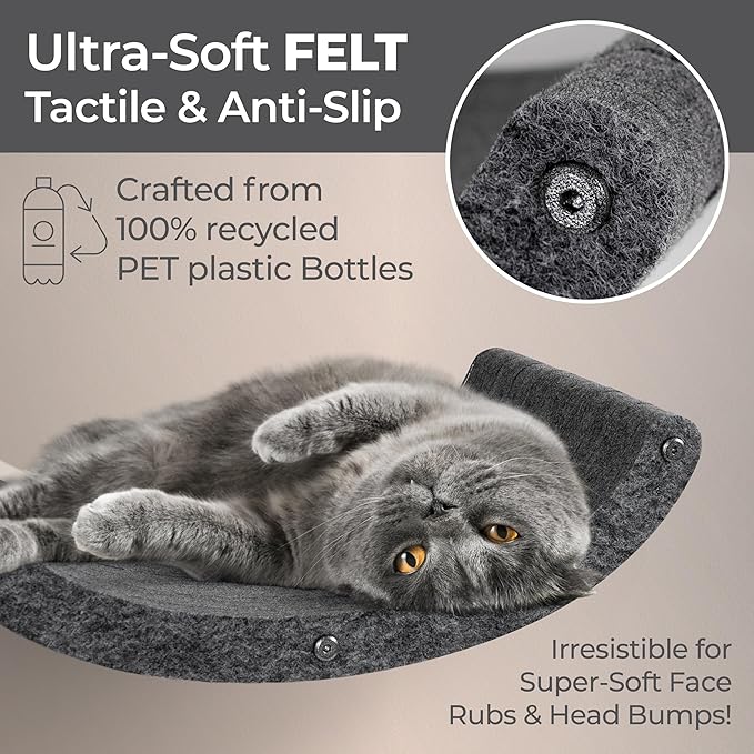 Wall Mounted Cat Hammock Bed by Pryde Pets - Floating Perch Curved Shelf, 100% Sustainable PET Felt Feline Enrichment Climber Furniture for Indoor Cats, Modern Climbing Gym Jungle Design (Charcoal)