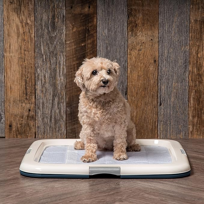 IRIS USA Pee Pad Holder - For Potty Training Regular Sized Dog & Puppy Pee Pads, Secured Latches, Non-Skid Feet, Leak Protection, Fits 22"x22" Pad or Larger, Square, Navy