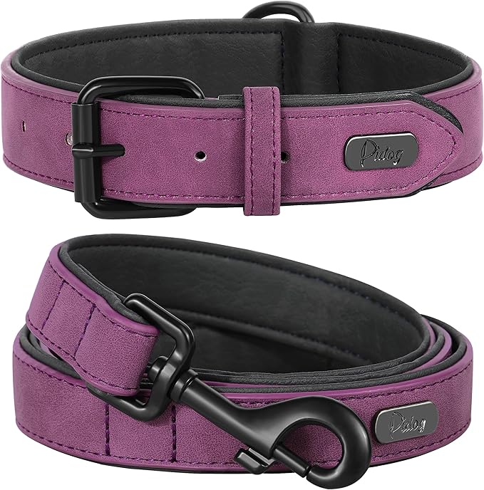 Didog Soft Padded Leather Dog Collar and Leash Set, Heavy Duty Dog Leash and Collar Set with Metal Buckle, Breathable Dog Collars with 4FT Leather Dog Leash for Small Medium Large Dogs, Purple, M