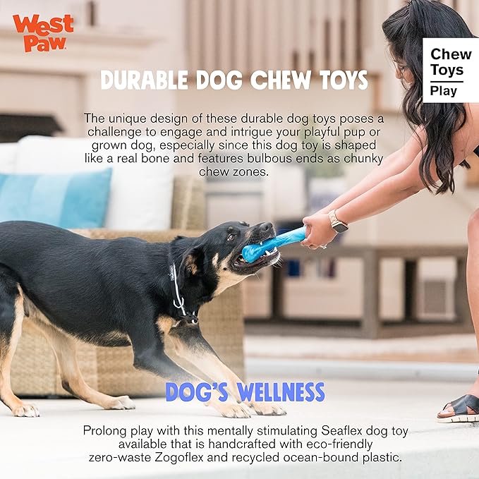 WEST PAW Seaflex Drifty Dog Toy – Machine Washable Dog Toys for Moderate Chewers – Eco-Friendly Zogoflex Toys for Dogs – Perfect for Gnawing, Fetch, Catch, Pet Training – 5.75" Small, Emerald