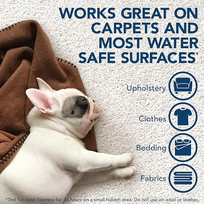 Simple Solution Extreme Pet Stain and Odor Eliminator Spray for Dogs and Cats, Enzymatic Cleaner with 3X Pro-Bacteria Cleaning Power, Strong Urine Pee & Poop Stain Remover, Spring Breeze, 1 Gal