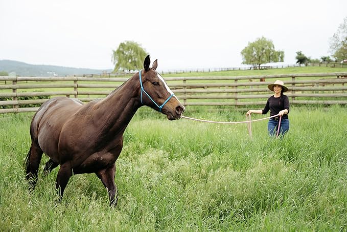 22' Long Line with SS O Ring and Carabiner (Burgundy Beige)