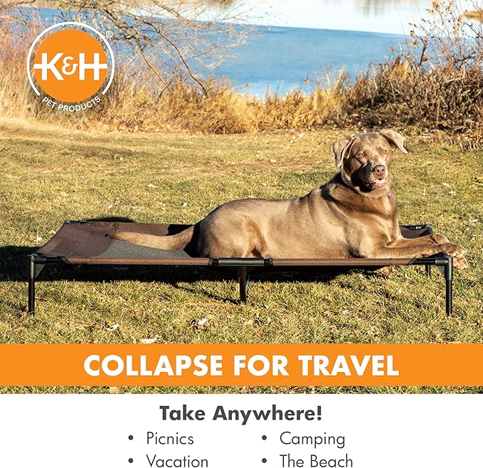 K&H Pet Products Outdoor Elevated Dog Cot, Breathable Cooling Elevated Cot Hammock Pet Bed for XL Dogs, Washable Mesh Cover, Raised Metal Frame, Collapsible, Portable - Jumbo 56 X 38in Chocolate