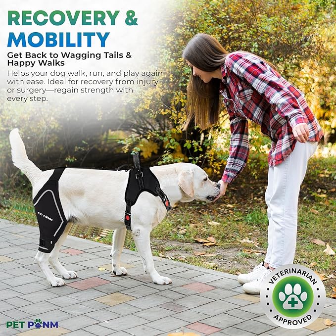 Petpanm- Adjustable Dog Knee Brace- Right Hind Leg with Integreted Harness- Premium Support for Torn ACL, Sprains & Strains Recovery, Enhances Mobility, Comfortable Neoprene - (XLarge).