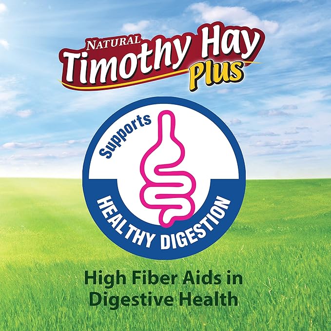 Kaytee Timothy Hay Plus Carrots for Pet Guinea Pigs, Rabbits & Other Small Animals, 24 oz