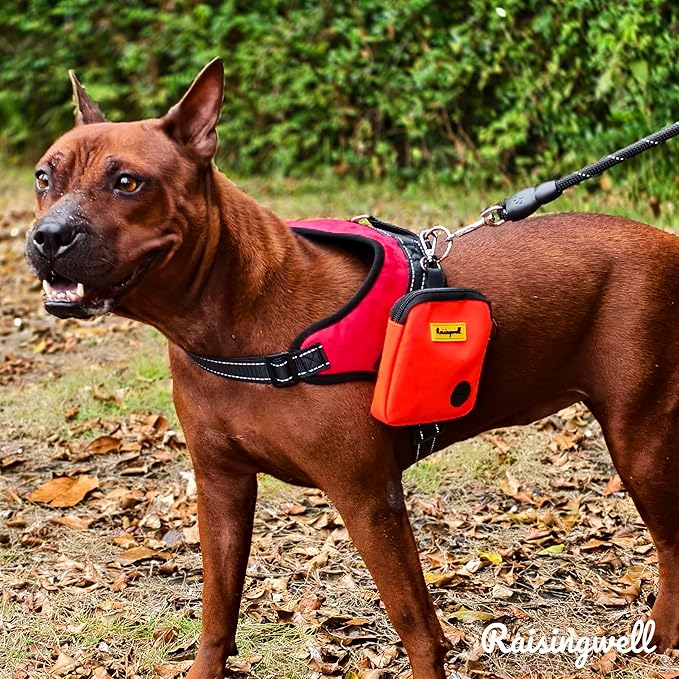Dog Treat Pouch for Pet Walking and Training with Clicker Poop Bags Small Fanny Zipper Pack Holder for Puppy Snack Dispenser Kit for Leash and Outdoor Use (Orange)