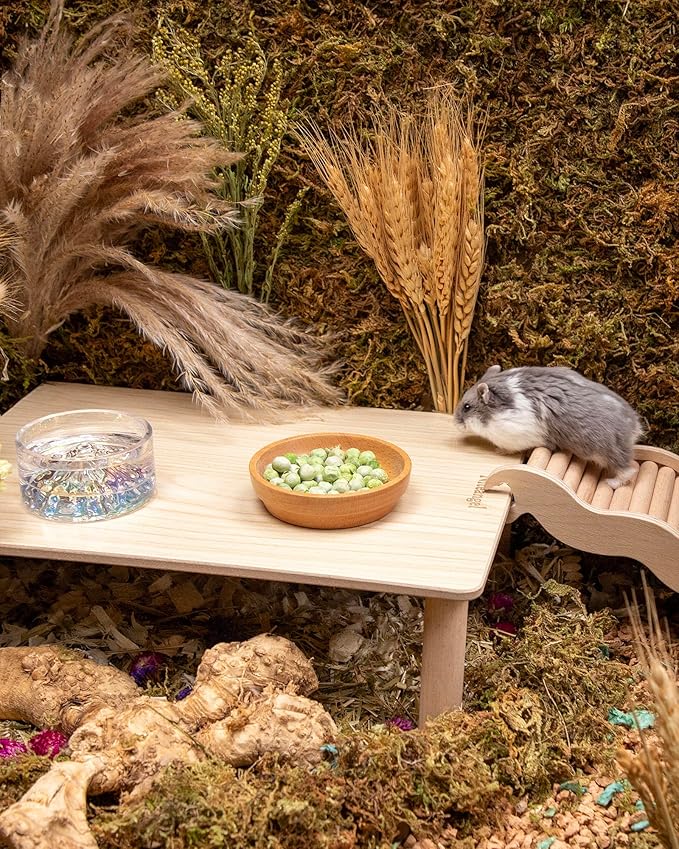 Niteangel Hamster Snack & Treats Toy - Small Animal Natural Treat for Dwarf Syrian Robo Hamsters Gerbils Mice Lemmings Degus or Other Small-Sized Pets