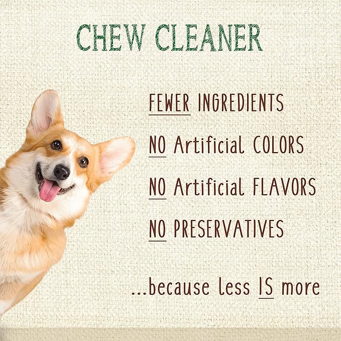 Nylabone Nutri Dent Dog Dental Chews, Natural Teeth Cleaning Treats & Breath Freshener for Dogs, Fresh Mint Flavor, Mini (78 Count)