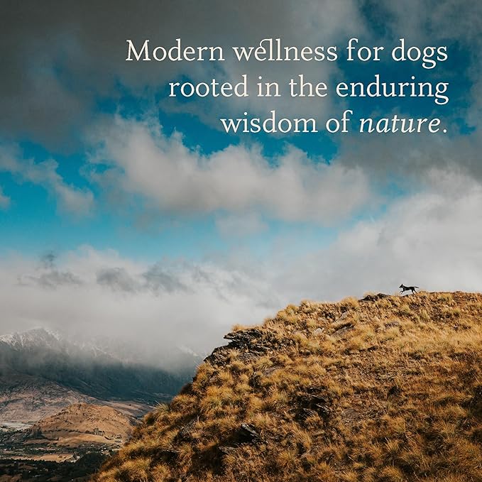 MoKo - Dog Paw Wax 60 g (2.1 oz) - Moisturizing Dog Paw Balm with Manuka Honey - Creates Barrier That Protects and Heals Dry Cracked Paws & Noses - Made with Natural Beeswax