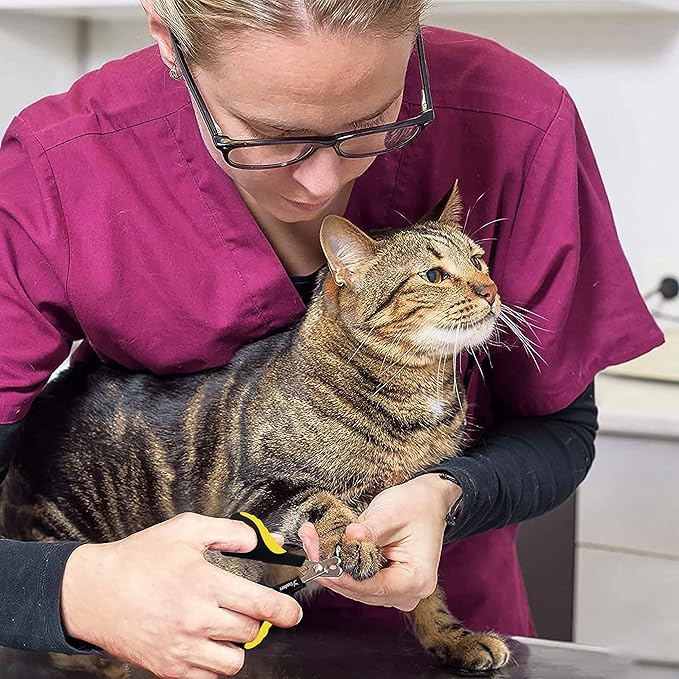 Candure Cat Nail Clipper Stainless Steel Cat Claw Trimmers for Rabbits, Guinea Pigs, Birds, Puppies, Kittens and Small Animals Pet Nail Clipper for Professional and Home Use (Yellow)