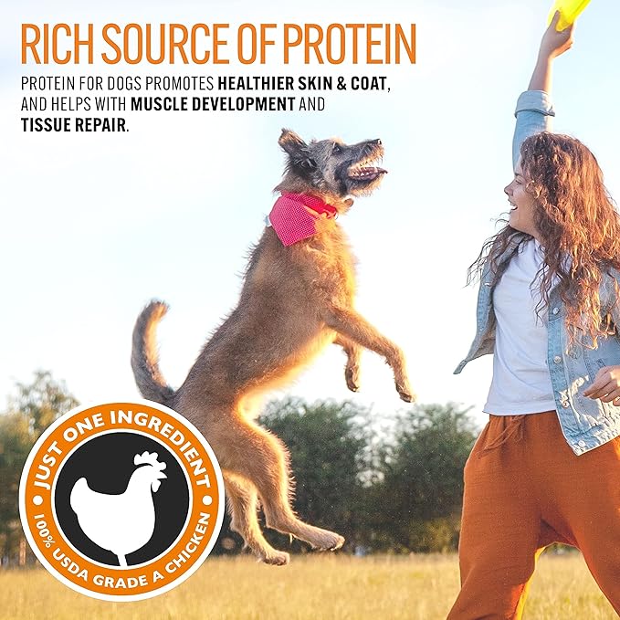 Emmy's Best EBPP Chicken Jerky Dog Treats Made in USA - 100% Natural Jerky Treats Made with Real Chicken - Grilled Chicken Strips for Medium Dogs, Large and Small Dogs