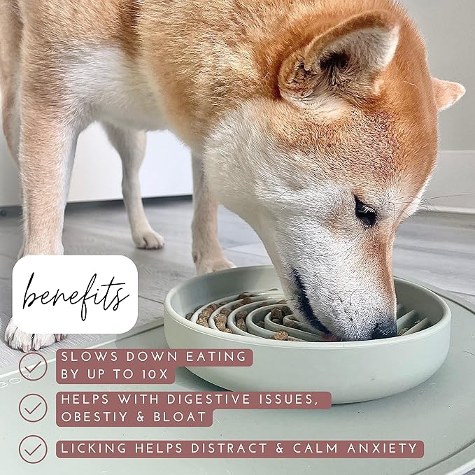 The Slowdown Bowl Silicone Slow Feeder for Dogs & Puppies, Slow Eating Modern Lick Mat Design, Reduces Gulping, Fits 2 Cups 7.5” Across x 1.5” Tall, Mealtime Challenge, Medium-Terracotta