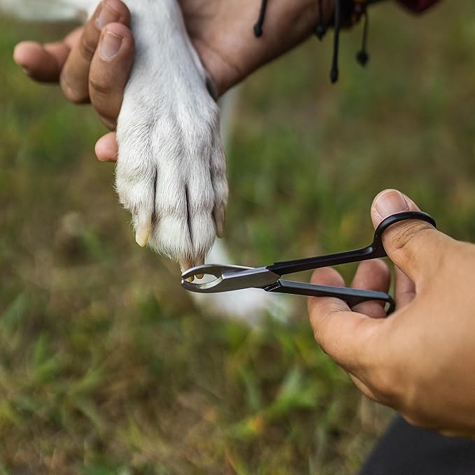 Cat Nail Trimmers/Dog Nail Trimmers - Solid Steel Pet Nail Clippers for Small and Medium Sized Dogs and Cats - Dog Grooming Supplies, Cat Grooming Supplies