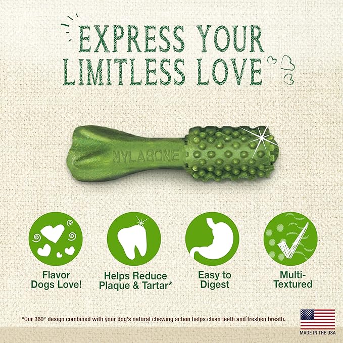 Nylabone Nutri Dent Dog Dental Chews, Natural Teeth Cleaning Treats & Breath Freshener for Dogs, Fresh Mint Flavor, Mini (78 Count)